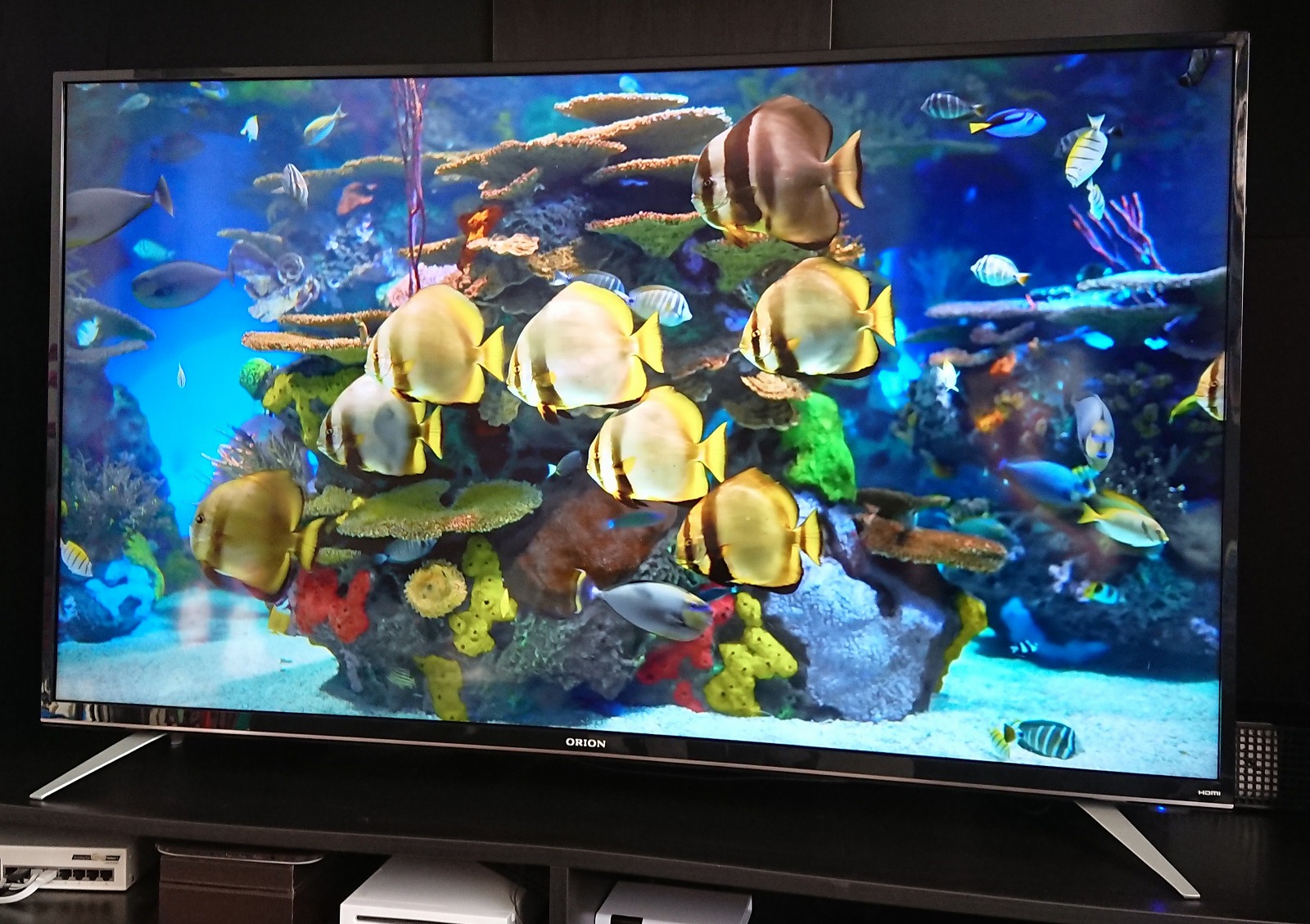 50型 4K テレビ ORION OL50XD100 - テレビ/映像機器